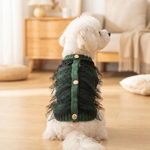 JIANCHI Dark Green Lace Princess Dog Dress for Small Dogs Winter Warm Custom Logo OEM ODM Pet Clothes Manufacturer CW26030