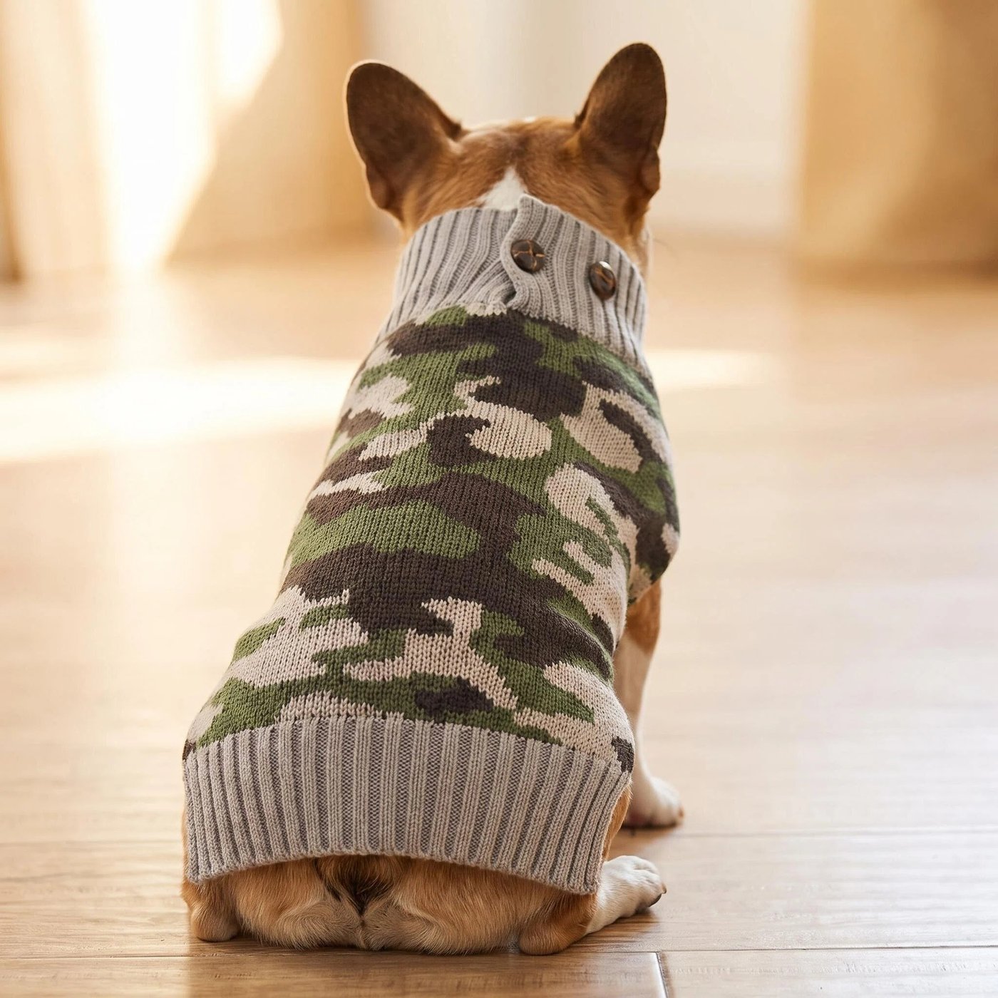 JIANCHI cw26036 knitwear 2