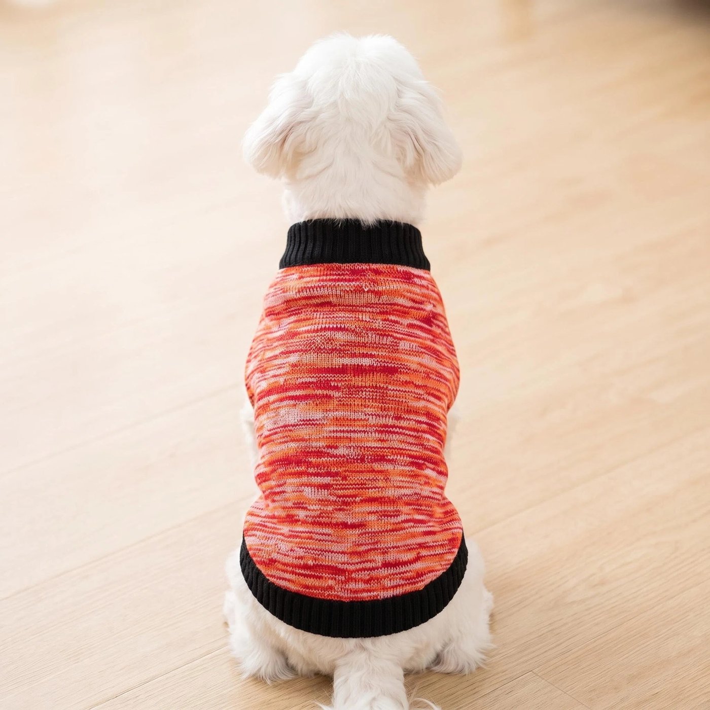 JIANCHI cw26039 knitwear 2