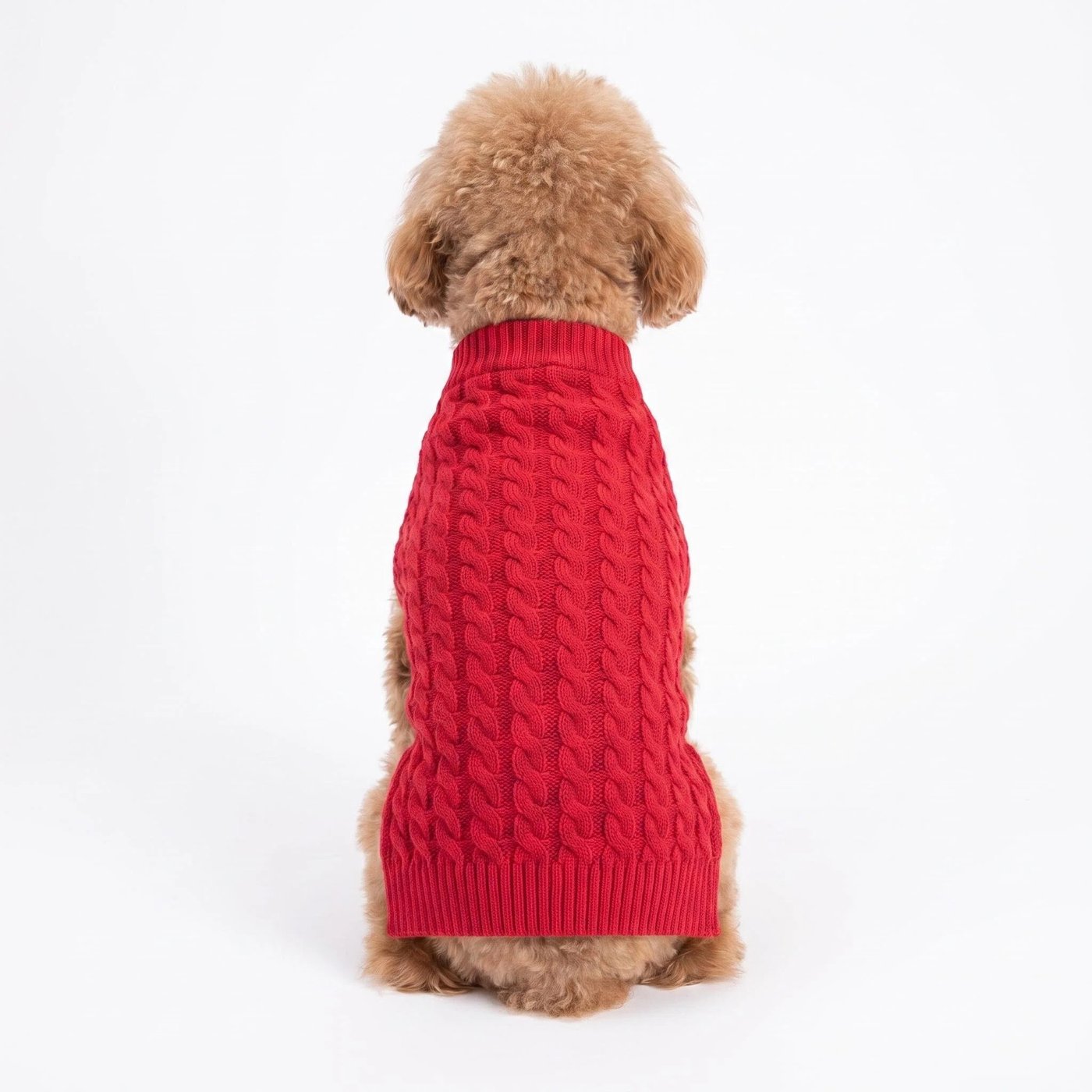 JIANCHI cw26044 knitwear 2