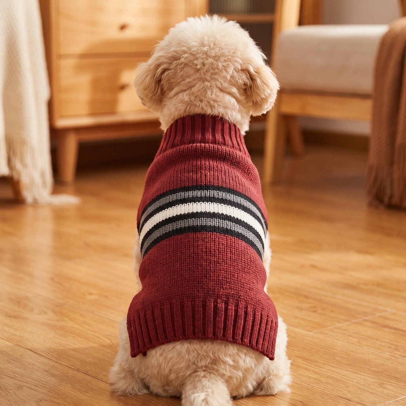 JIANCHI cw26047 knitwear 2