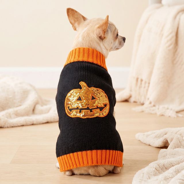 JIANCHI Black Orange Pumpkin Halloween Dog Sweater for Small Dogs Winter Warm Custom Logo OEM ODM Pet Clothes Manufacturer CW26048