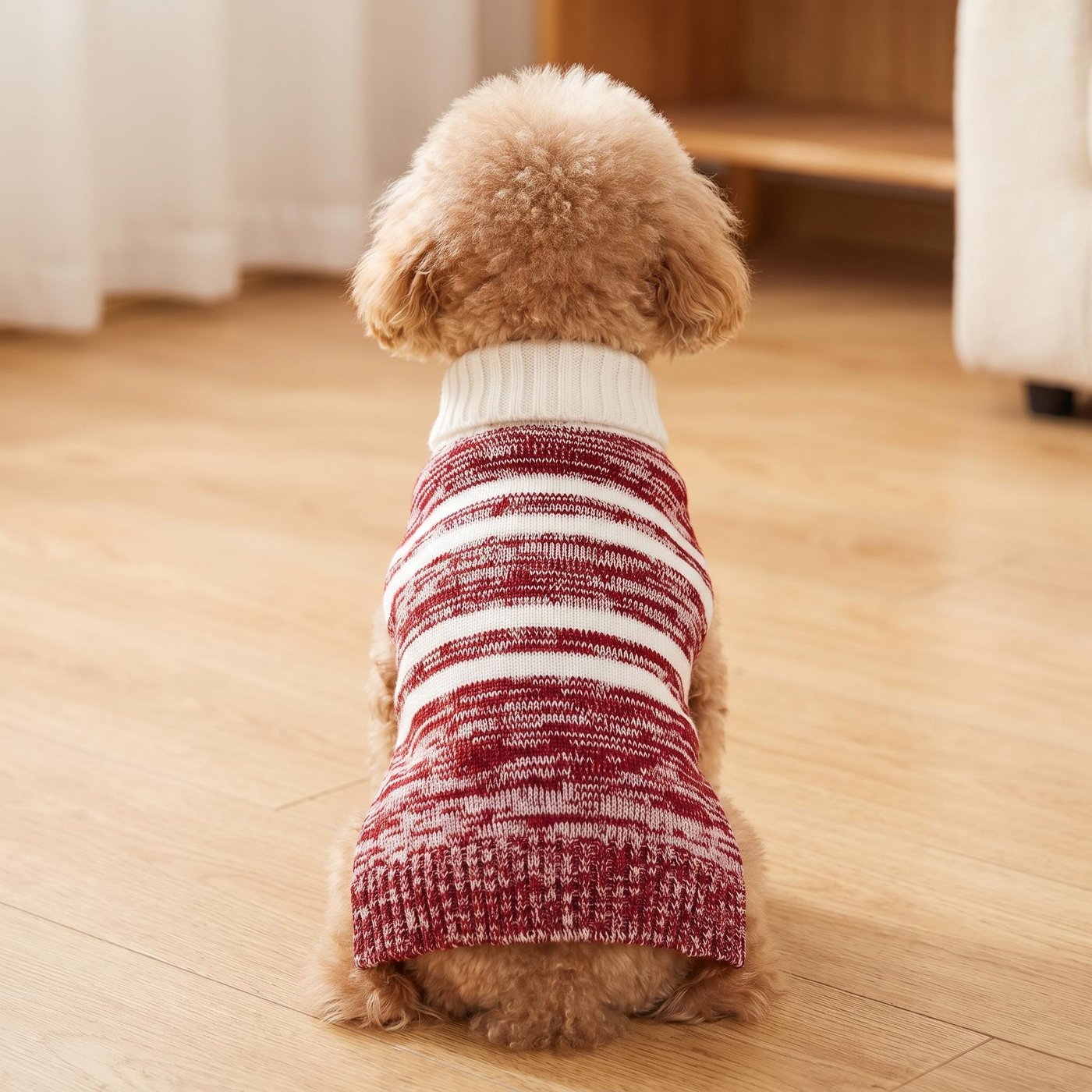 JIANCHI cw26052 knitwear 2