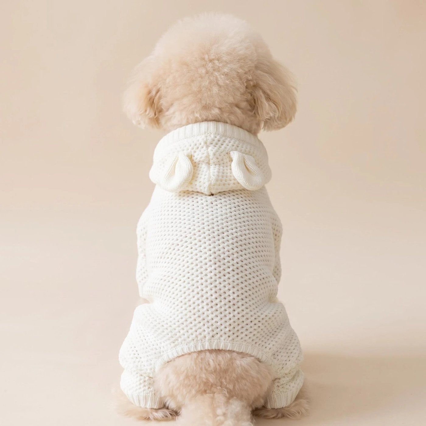 JIANCHI cw26057 knitwear detail photo 1