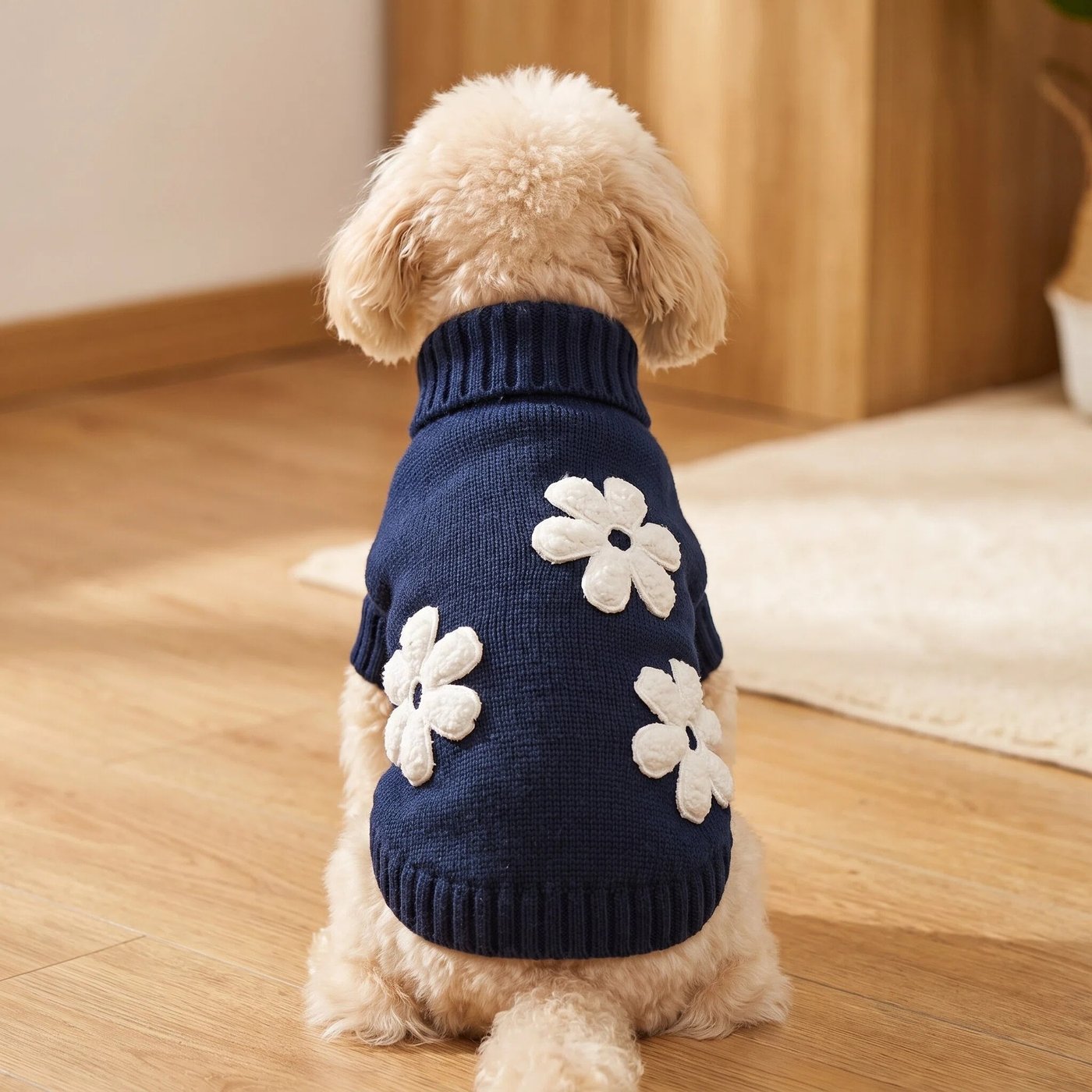 JIANCHI cw26060 knitwear detail photo 1