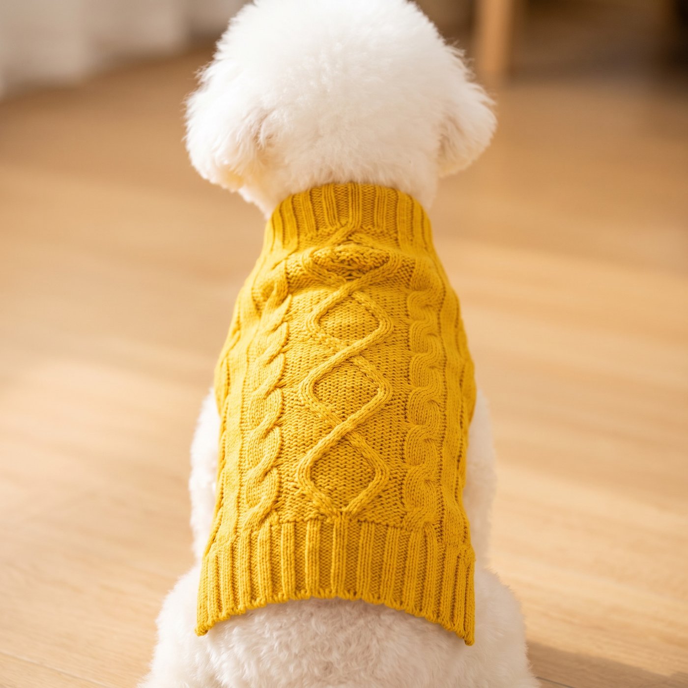 JIANCHI cw26065 knitwear 2