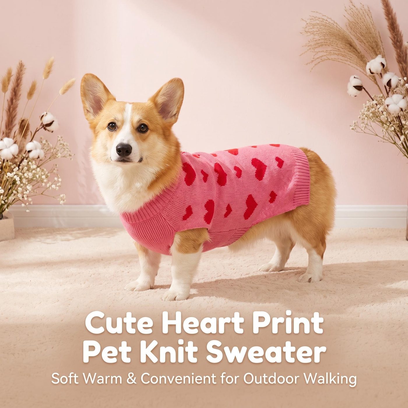 JIANCHI cw26067 knitwear 6