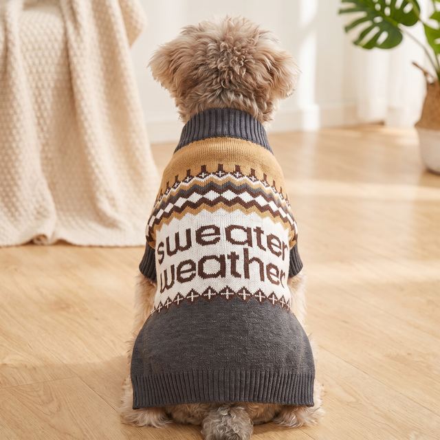 JIANCHI Brown Sweater Weather Slogan Knit Pullover Cute Dog Clothing Custom Label Service Quick Sample Manufacturer CW26068