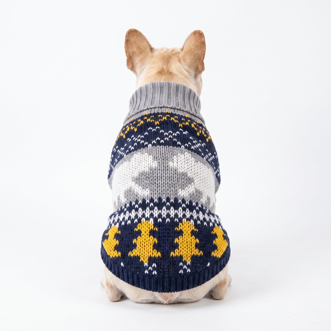 JIANCHI cw26079 knitwear 2